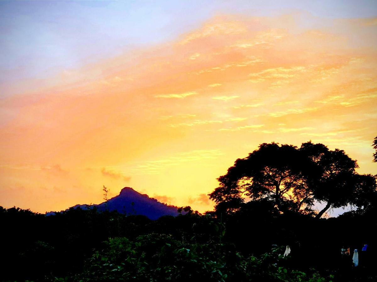 Sagye Travel Hotel ซอกวีโพ ภายนอก รูปภาพ